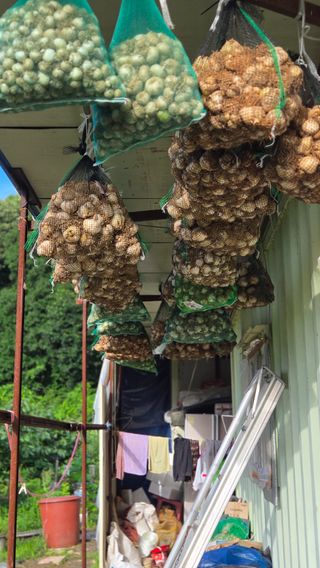 박정희 님의 자유주제 · 자유게시판 작성글 사진