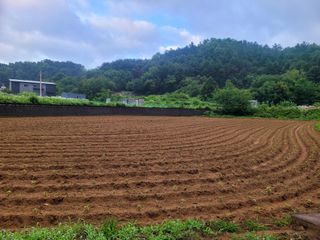 마늘16716님의 자유주제 · 자유게시판 작성글 사진