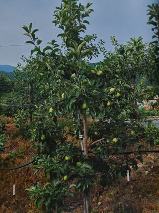 알 수 없음님의 자유주제 · 자유게시판 작성글 사진