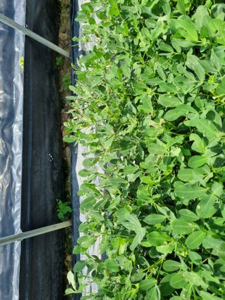 장례지도사1급님의 자유주제 · 자유게시판 작성글 사진