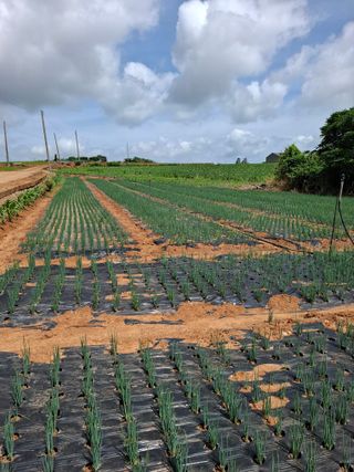 결단이님의 자유주제 · 자유게시판 작성글 사진