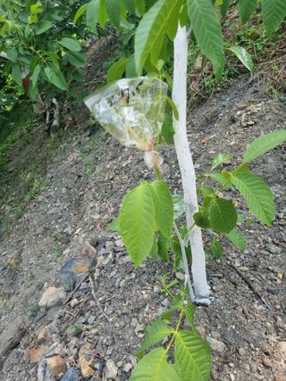 김용대님의 자유주제 · 자유게시판 작성글 사진