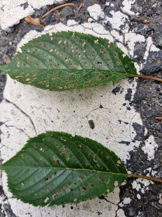 김양곤님의 자유주제 · 자유게시판 작성글 사진