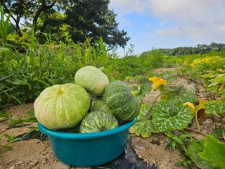 보리수치유농장님의 자유주제 · 자유게시판 작성글 사진