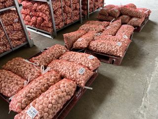 국중선님의 자유주제 · 자유게시판 작성글 사진