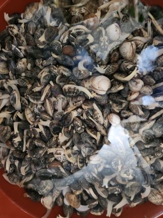 최은오님의 자유주제 · 자유게시판 작성글 사진