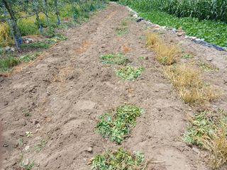 알 수 없음님의 자유주제 · 자유게시판 작성글 사진