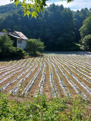 거촌어른님의 자유주제 · 자유게시판 작성글 사진