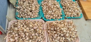 달맛햇복숭아농원님의 자유주제 · 자유게시판 작성글 사진