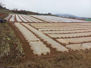 박린님의 작성글 사진