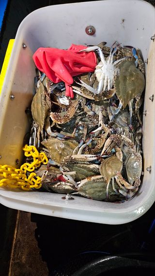 최은오님의 자유주제 · 자유게시판 작성글 사진