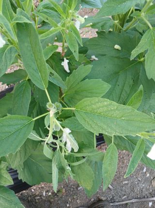 진일환님의 자유주제 · 자유게시판 작성글 사진