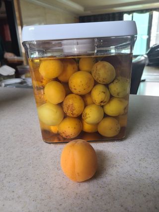 자연같이님의 자유주제 · 자유게시판 작성글 사진