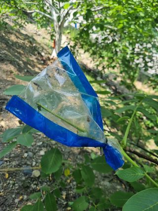 김용대님의 자유주제 · 자유게시판 작성글 사진