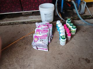 알 수 없음님의 자유주제 · 자유게시판 작성글 사진