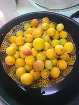 팜모닝 자유주제·자유게시판 게시글 이미지