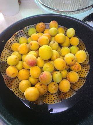 자연같이님의 자유주제 · 자유게시판 작성글 사진