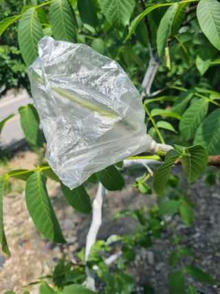 김용대님의 자유주제 · 자유게시판 작성글 사진