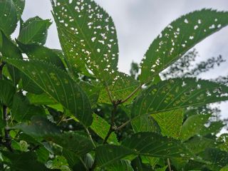 김양곤님의 자유주제 · 자유게시판 작성글 사진