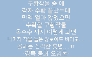 알 수 없음님의 자유주제 · 자유게시판 작성글 사진