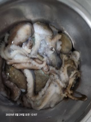 최은오님의 자유주제 · 자유게시판 작성글 사진