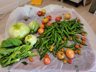 원탑님의 자유주제 · 자유게시판 작성글 사진