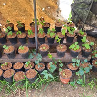 이창화님의 자유주제 · 자유게시판 작성글 사진