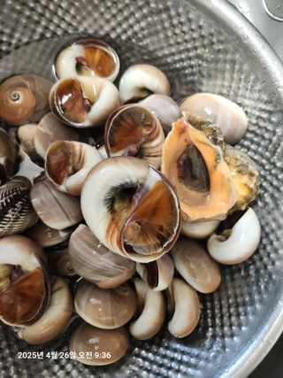 최은오님의 자유주제 · 자유게시판 작성글 사진