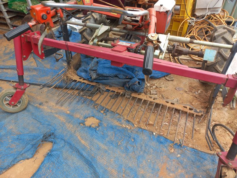 박린님의 장터 판매 상품 [홍산마늘 단구(도야)] 첨부 사진