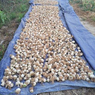 박정희 님의 자유주제 · 자유게시판 작성글 사진