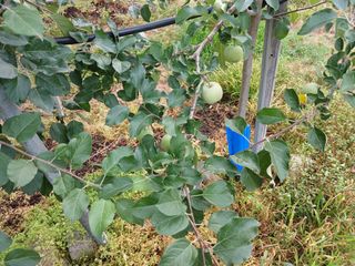 알 수 없음님의 자유주제 · 자유게시판 작성글 사진