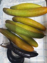 팜모닝 자유주제·자유게시판 게시글 이미지