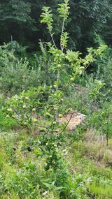 팜모닝 자유주제·자유게시판 게시글 이미지