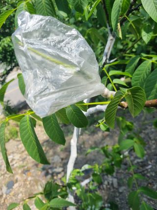 김용대님의 자유주제 · 자유게시판 작성글 사진