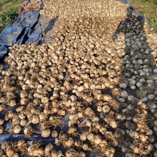 박정희 님의 자유주제 · 자유게시판 작성글 사진