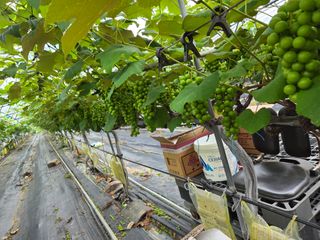 태일농산이정수님의 자유주제 · 자유게시판 작성글 사진
