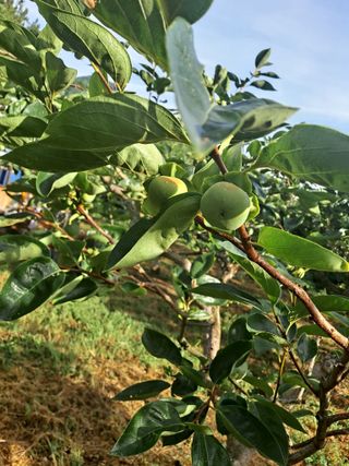 농촌사랑님의 자유주제 · 자유게시판 작성글 사진