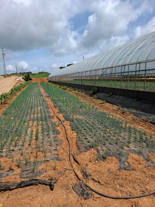 결단이님의 자유주제 · 자유게시판 작성글 사진