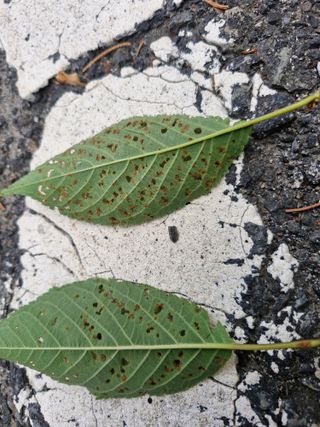 김양곤님의 자유주제 · 자유게시판 작성글 사진