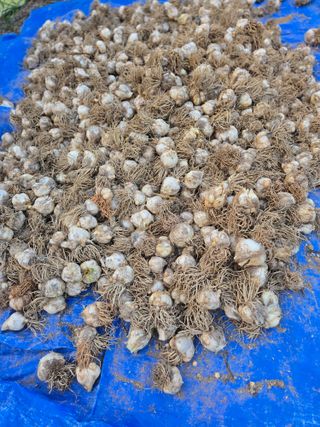 박정희 님의 자유주제 · 자유게시판 작성글 사진