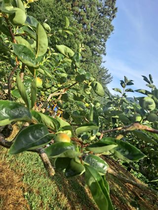 농촌사랑님의 자유주제 · 자유게시판 작성글 사진