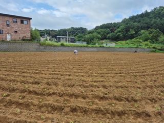 마늘16716님의 자유주제 · 자유게시판 작성글 사진