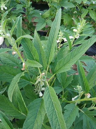 진일환님의 자유주제 · 자유게시판 작성글 사진