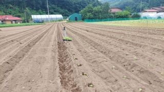 강원도 횡성군님의 자유주제 · 자유게시판 작성글 사진