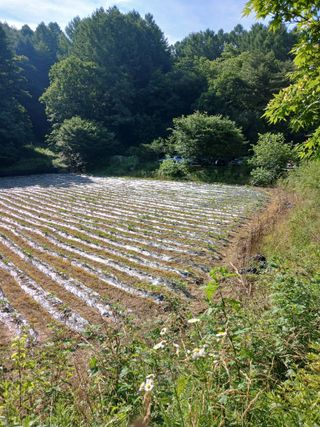 거촌어른님의 자유주제 · 자유게시판 작성글 사진