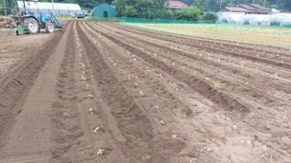 강원도 횡성군님의 자유주제 · 자유게시판 작성글 사진