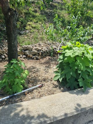 김용대님의 자유주제 · 자유게시판 작성글 사진