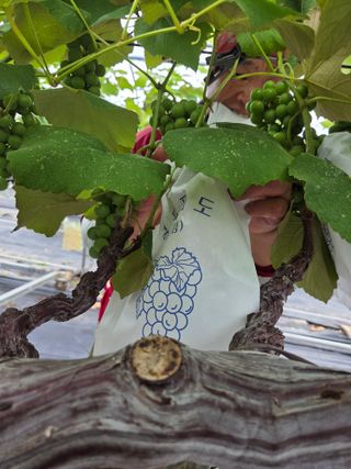 태일농산이정수님의 자유주제 · 자유게시판 작성글 사진