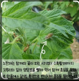 권리를위한투쟁님의 자유주제 · 자유게시판 작성글 사진