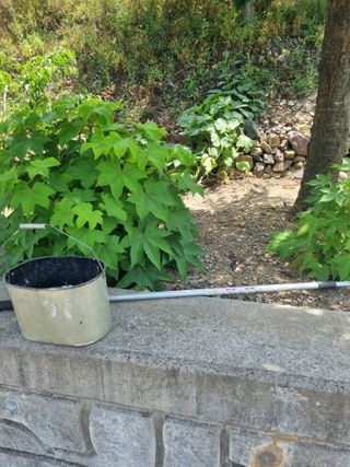 김용대님의 자유주제 · 자유게시판 작성글 사진